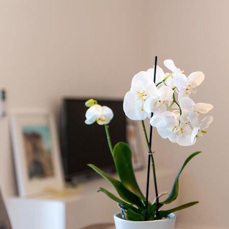 Apartment Ivi Trogir Ngoại thất bức ảnh
